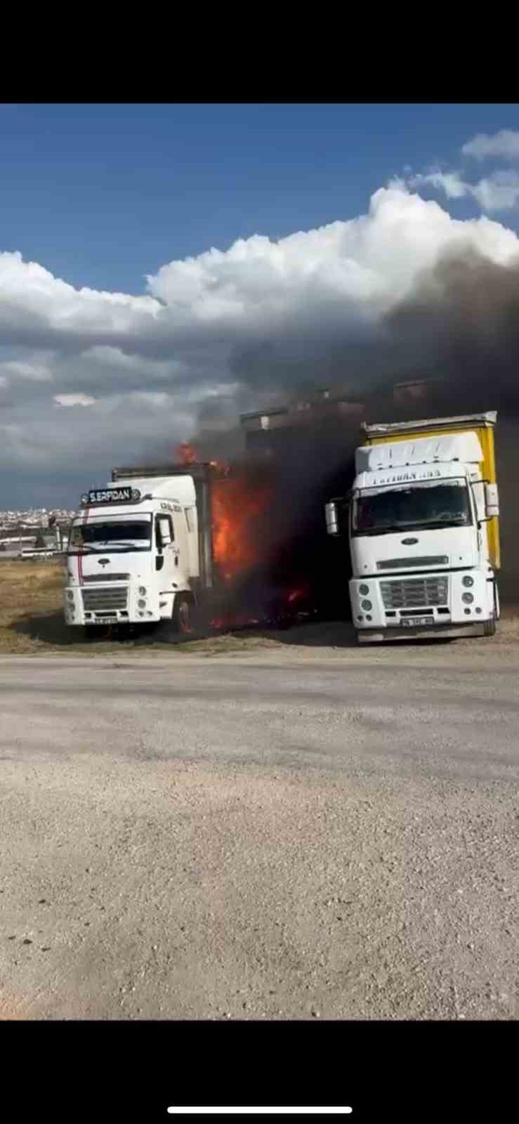 Park halindeki tır alev topuna döndü
