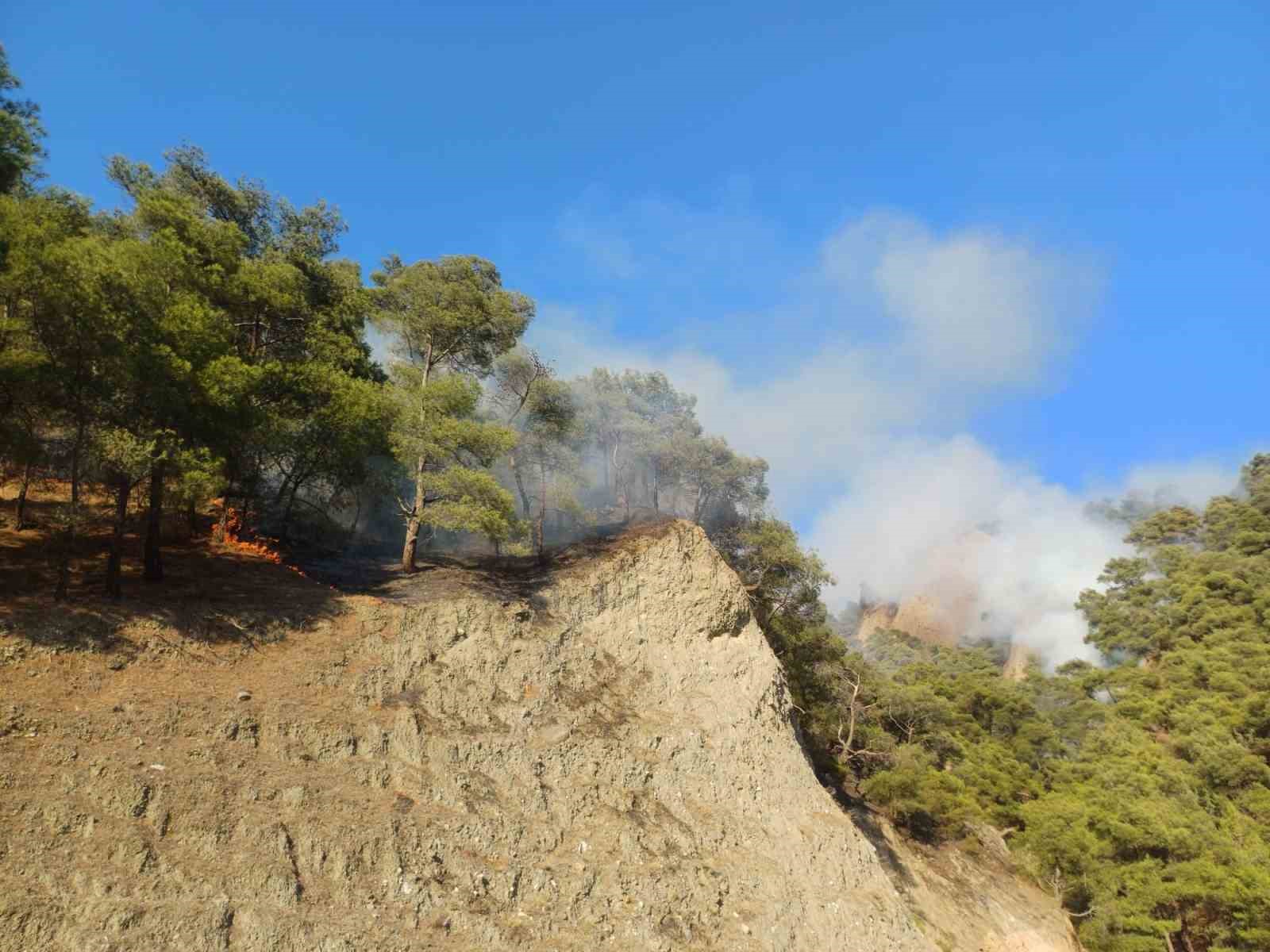 Manisa’daki yangın 44 saatte kontrol altında
