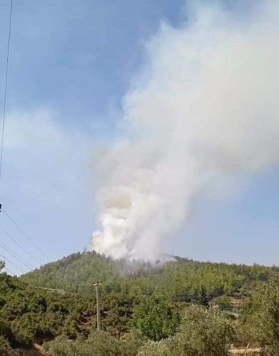 Mersin’deki orman yangını kontrol altına alındı, 3 hektar alan zarar gördü
