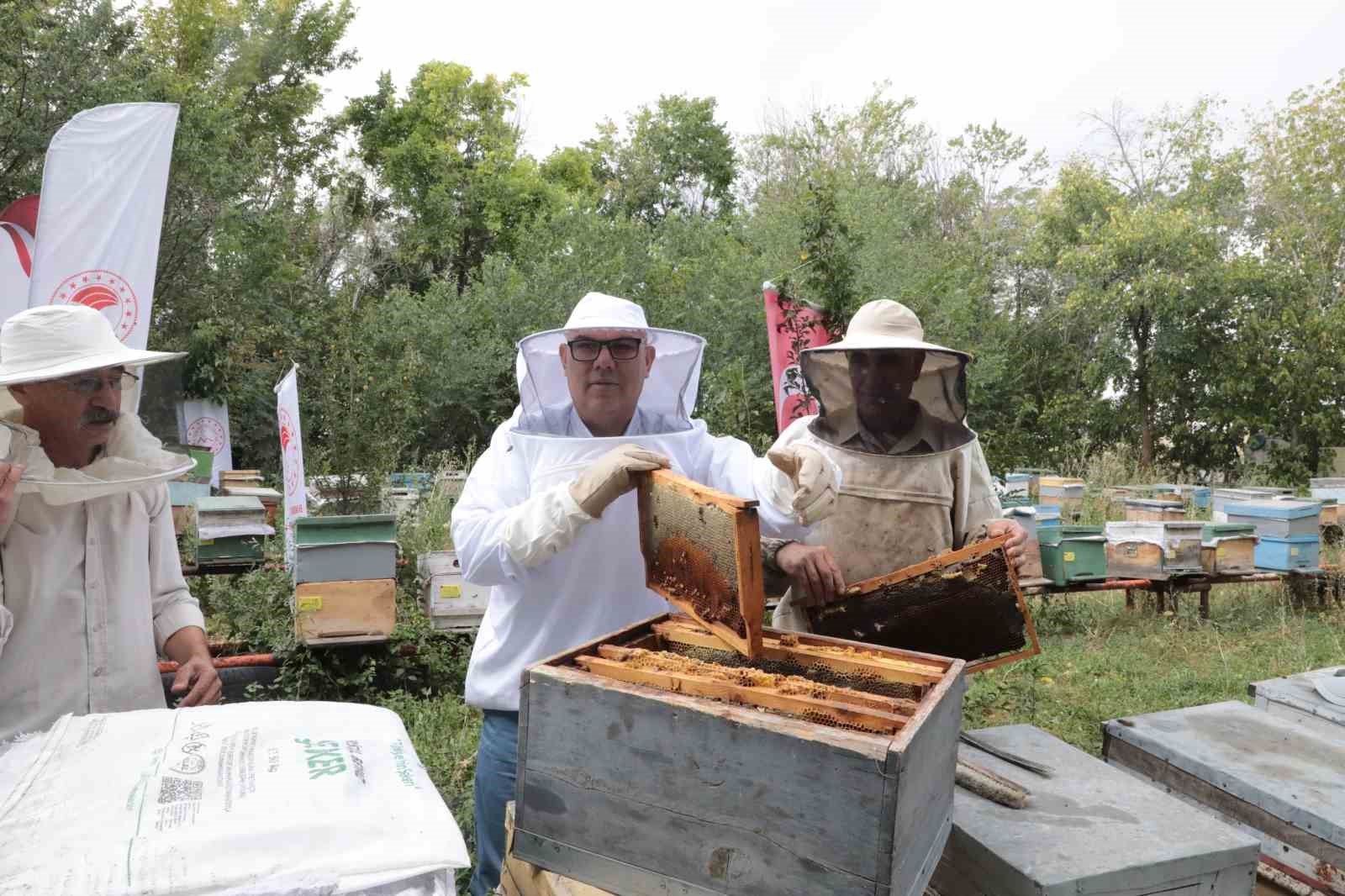 Ağrı’nın tescilli Geven Balından 400 ton verim hedefleniyor
