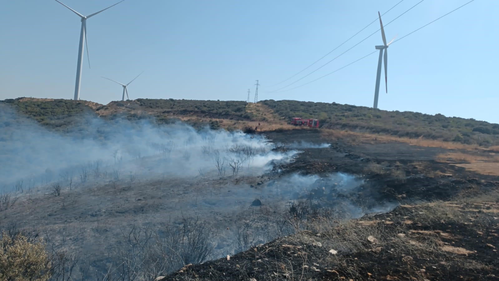 Aliağa’daki orman yangını kontrol altında
