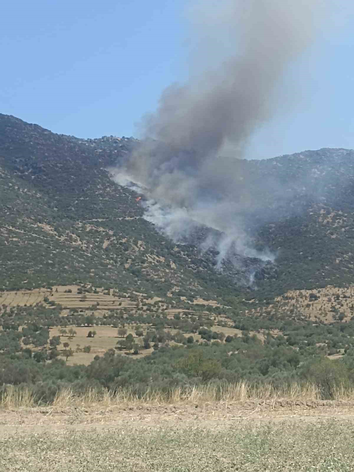 Nazilli’de makilik yangınını söndürme çalışmaları devam ediyor
