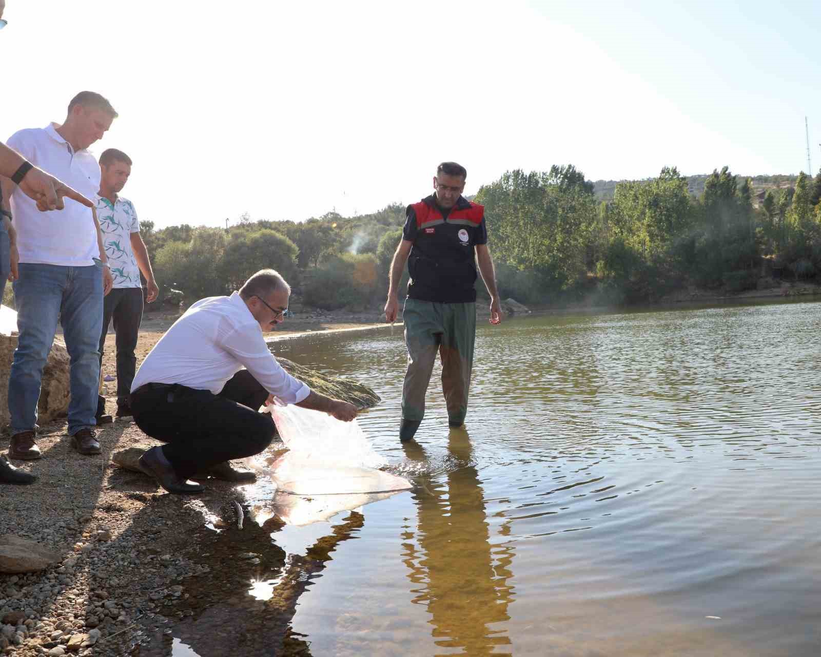 Uşak’a 368 bin adet yavru sazan balığı bırakıldı
