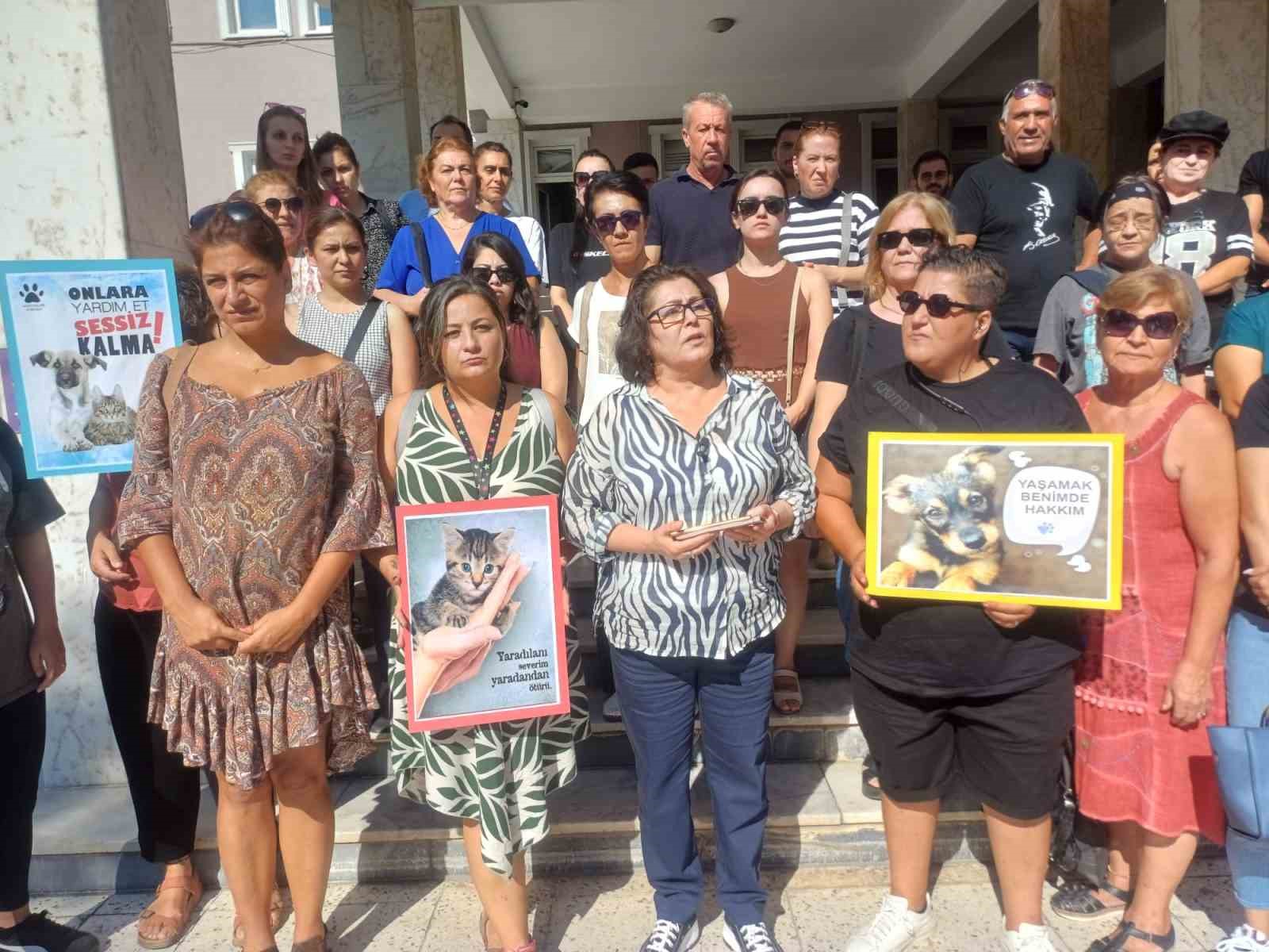 Yavru kedileri süpürge sapıyla öldüren şahıs tutuklandı
