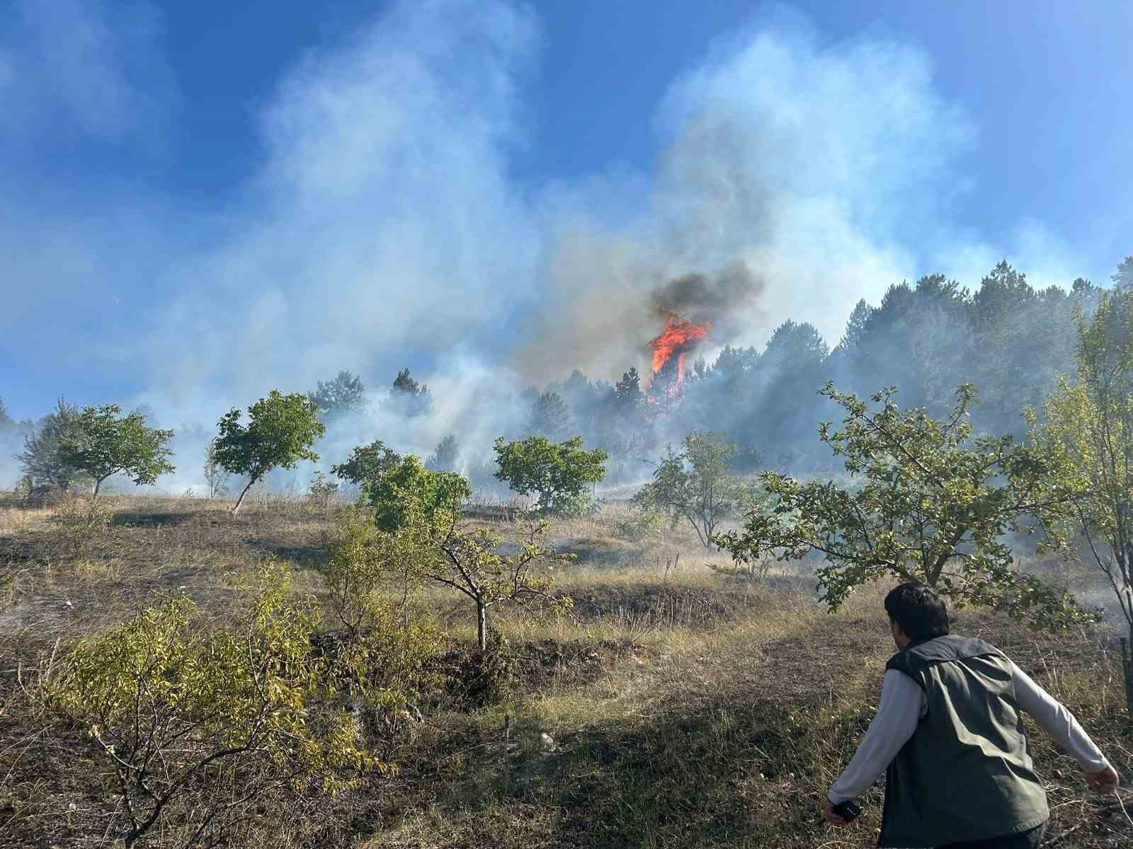 Kütahya’da iki ayrı noktada yangın
