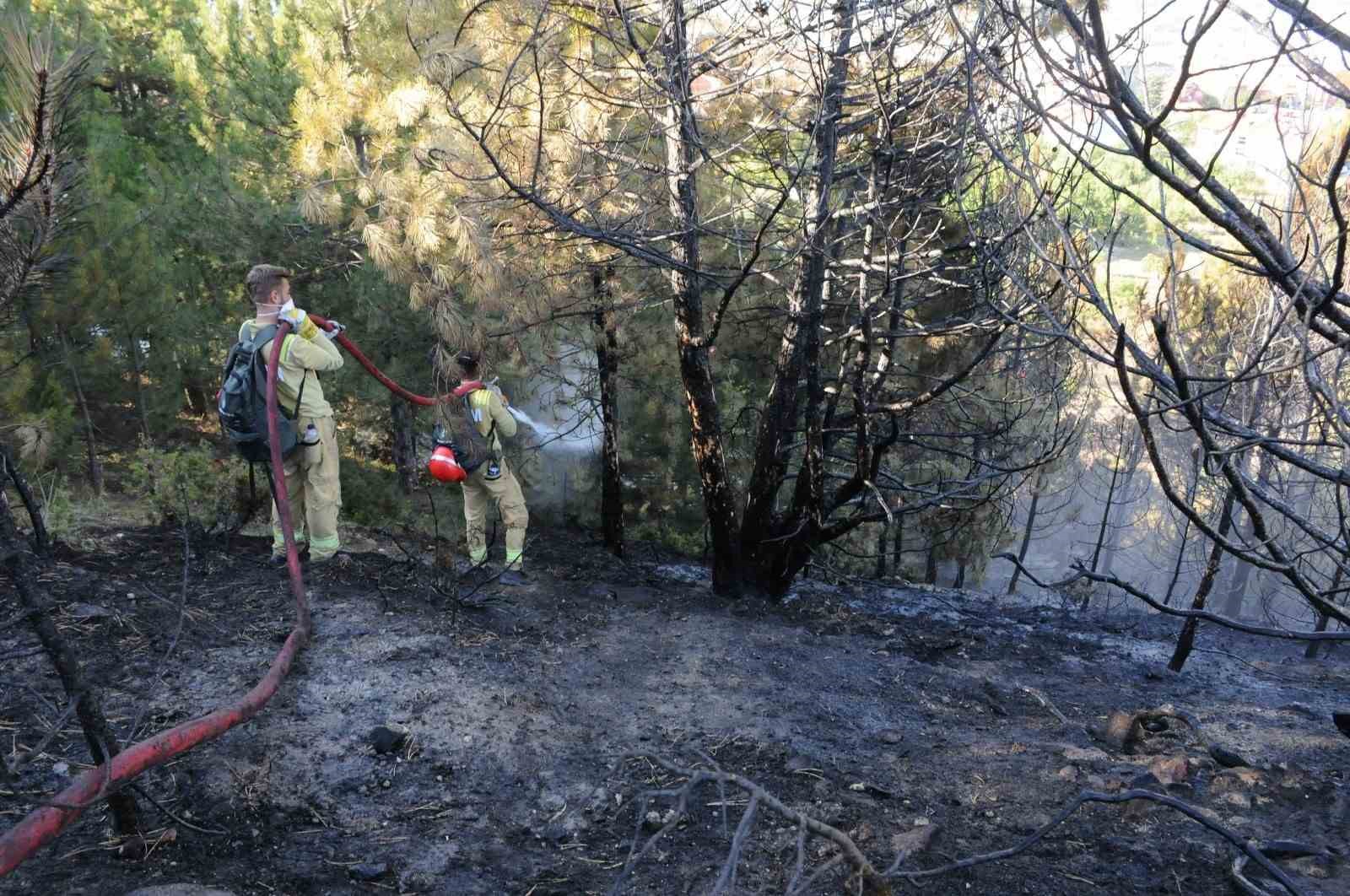 Kütahya’da iki ayrı noktada yangın
