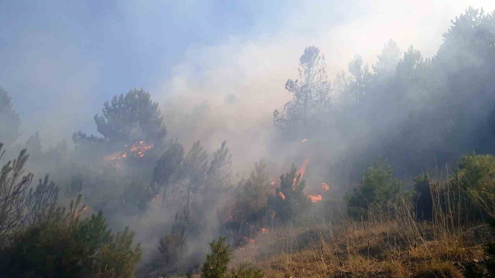 Kütahya’da iki ayrı noktada yangın
