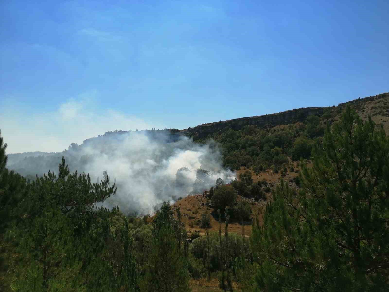 Kütahya’da iki ayrı noktada yangın
