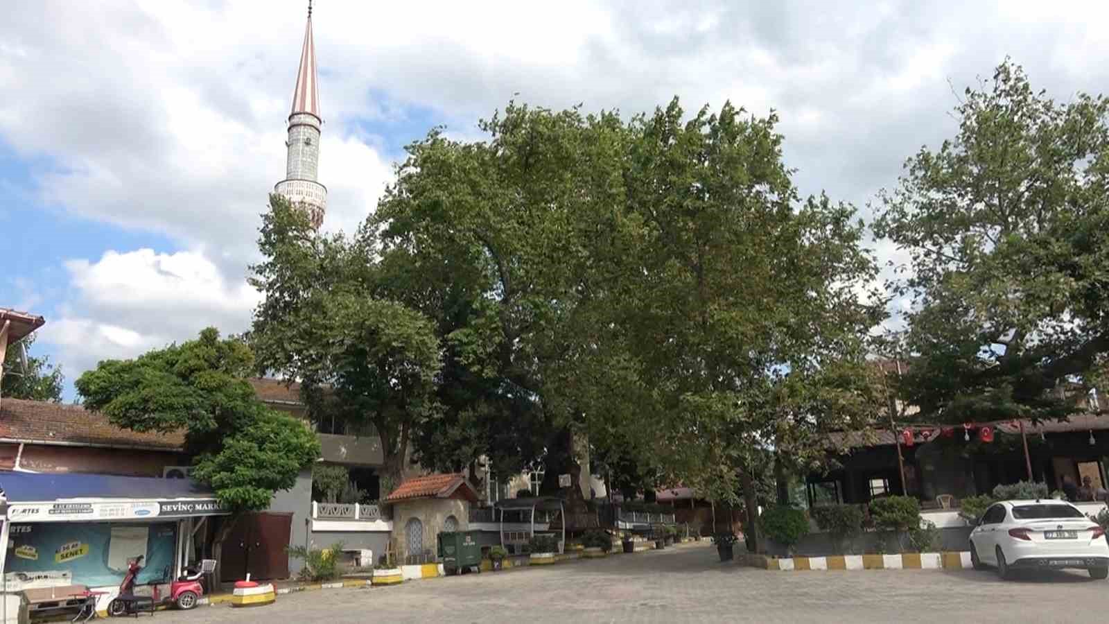 Türkiye’nin ilk kadın muhtarı o ama resmi kayıtlarda gözükmüyor
