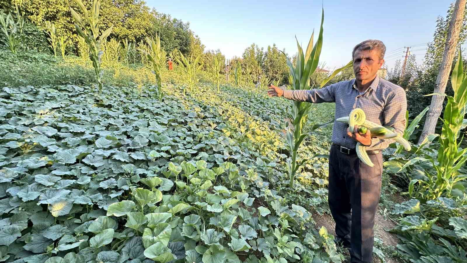 Yüksekova’da örnek çiftçi: A’dan Z’ye tüm ürünlere hayat verdi
