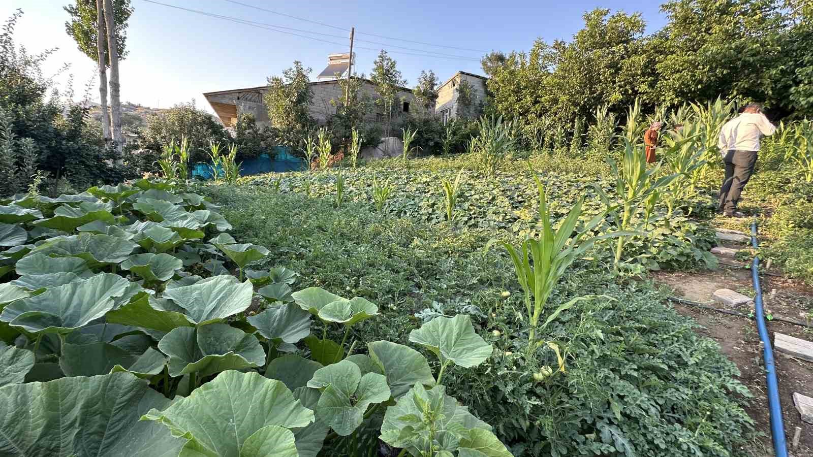 Yüksekova’da örnek çiftçi: A’dan Z’ye tüm ürünlere hayat verdi
