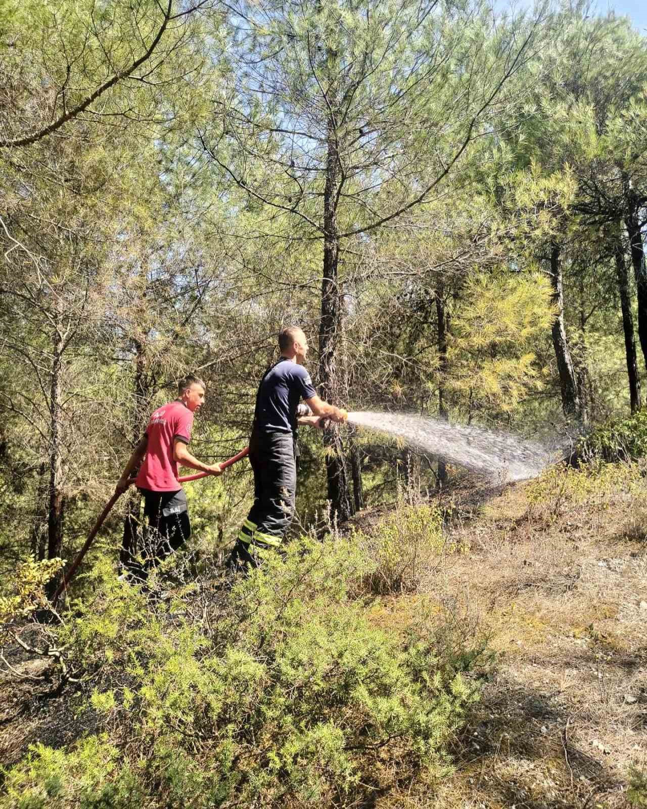 Yayladağı’nda örtü yangını
