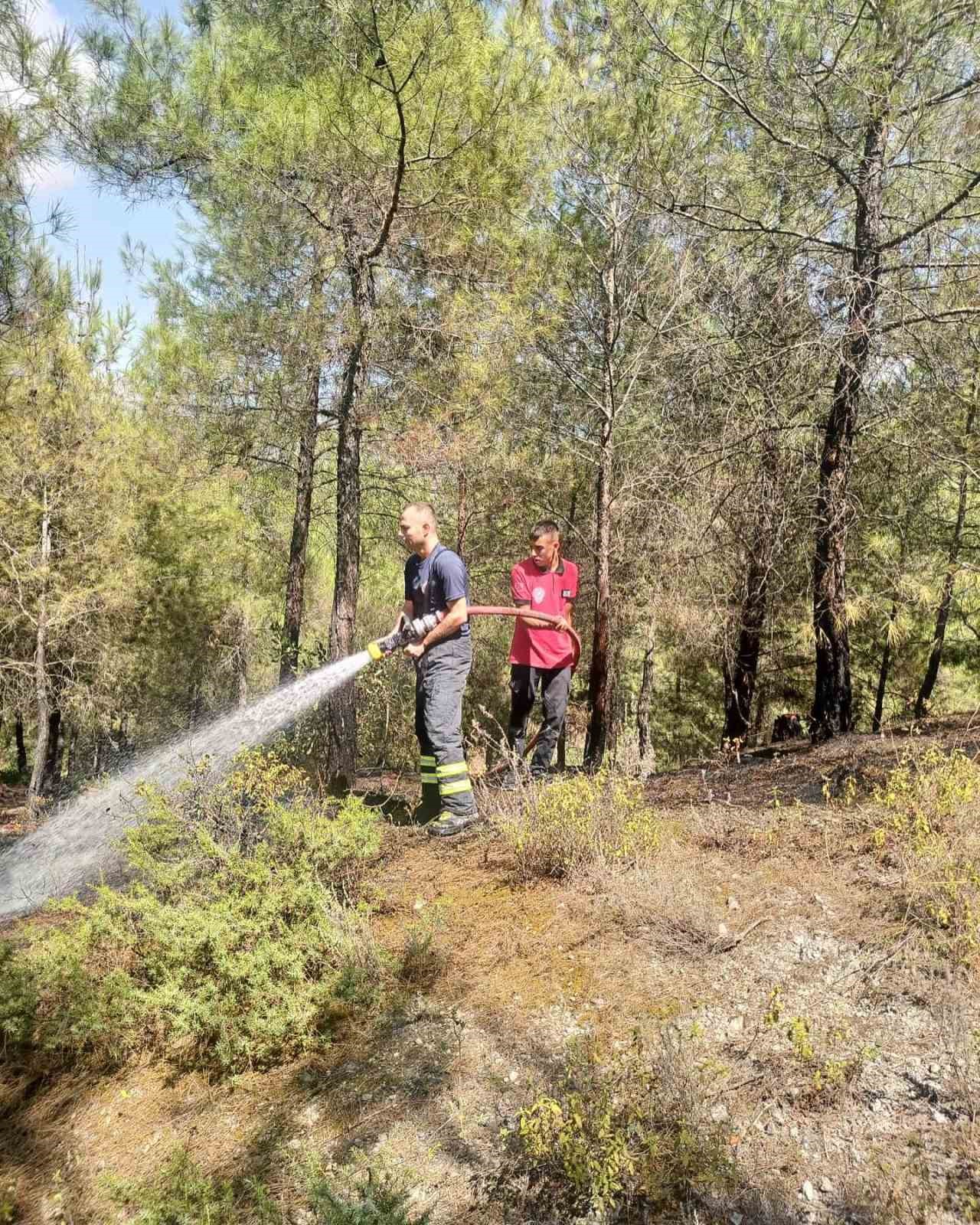 Yayladağı’nda örtü yangını
