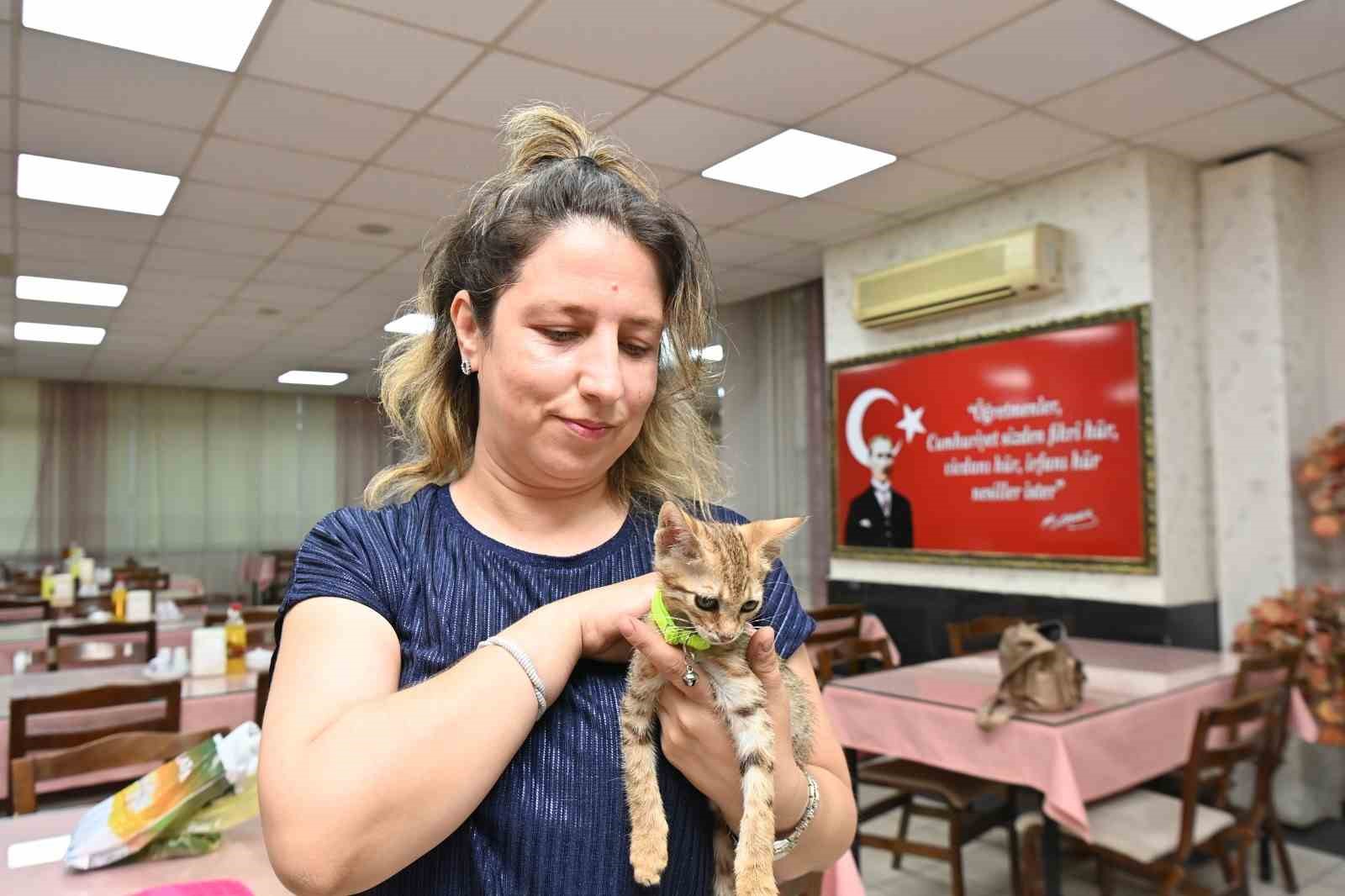 Tedavisi tamamlanan yavru kedi Biber sahibiyle buluştu
