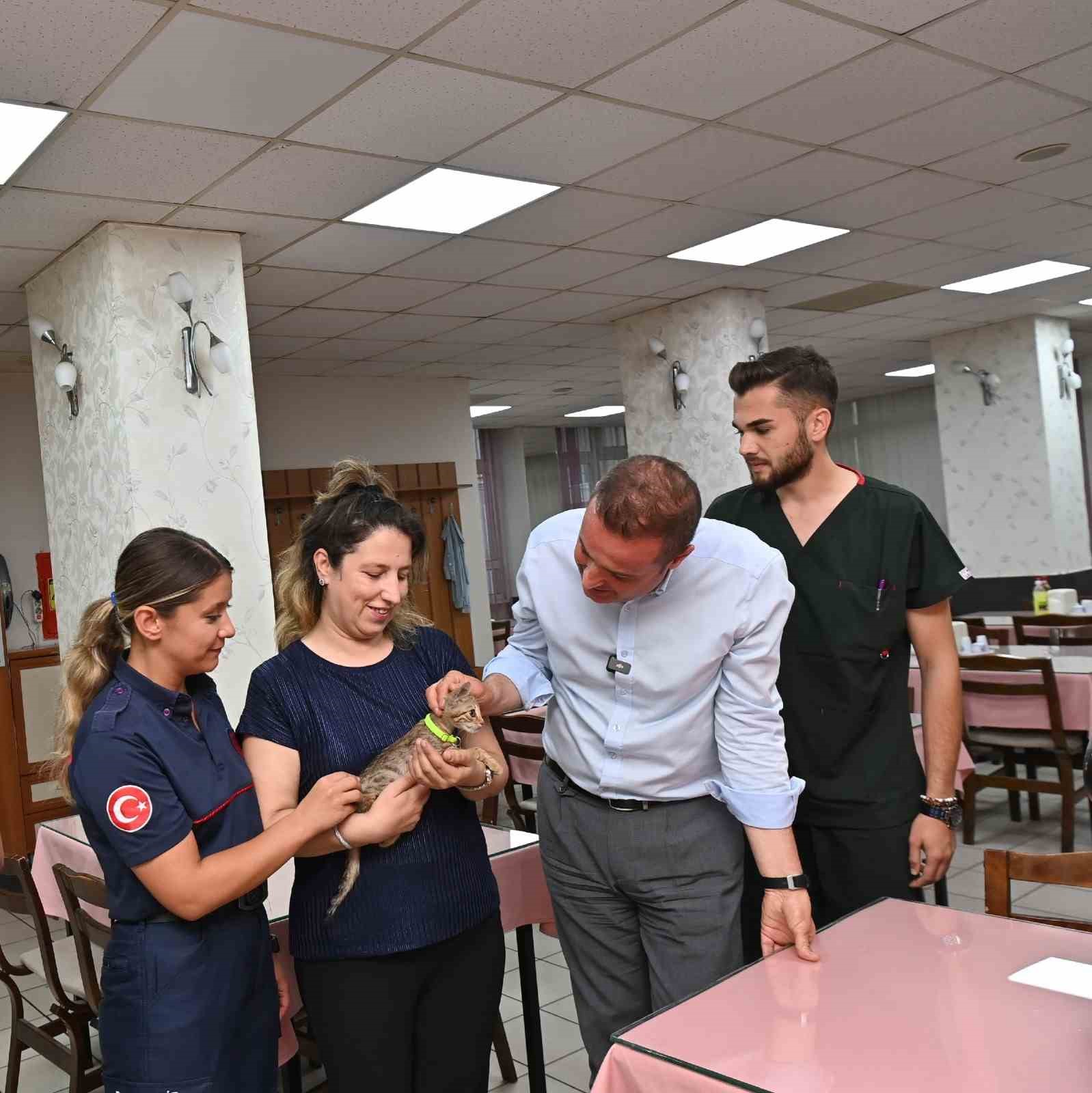 Tedavisi tamamlanan yavru kedi Biber sahibiyle buluştu
