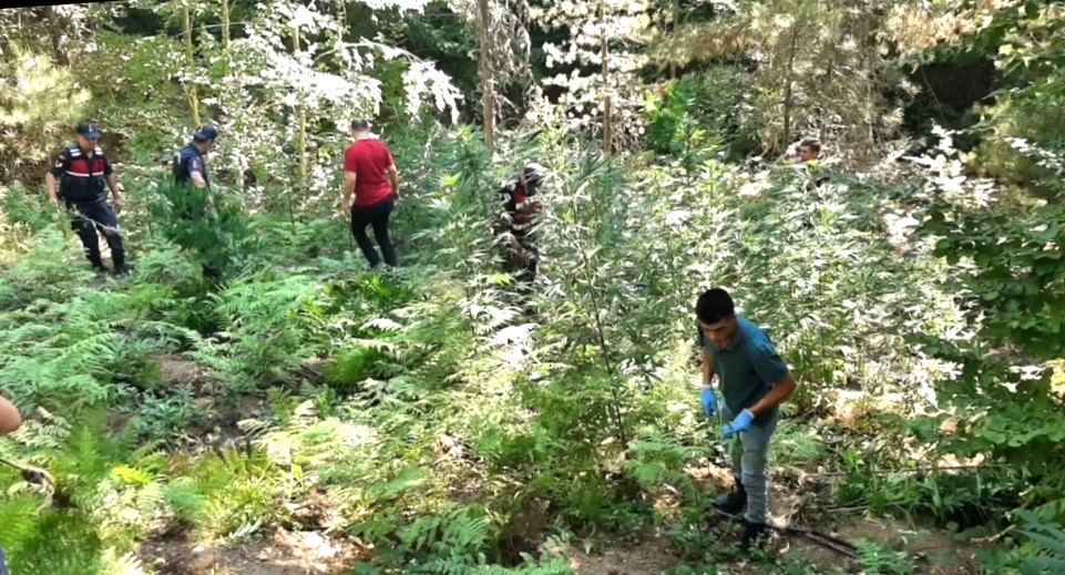 Simav’da uyuşturucu operasyonu: 4 şüpheli gözaltına alındı
