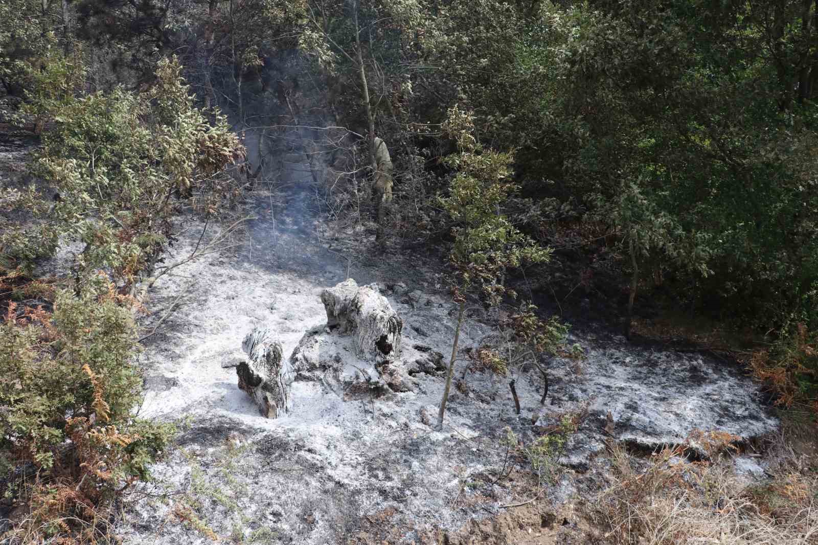 Samsun’da anız yangını: 150 dekar alan zarar gördü
