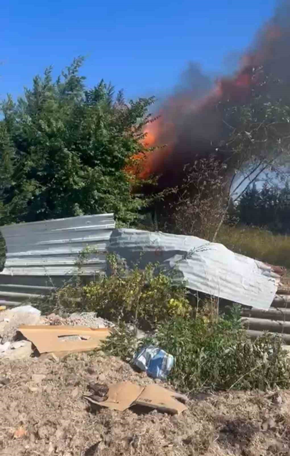 Sakarya’da bir işletme alev topuna döndü
