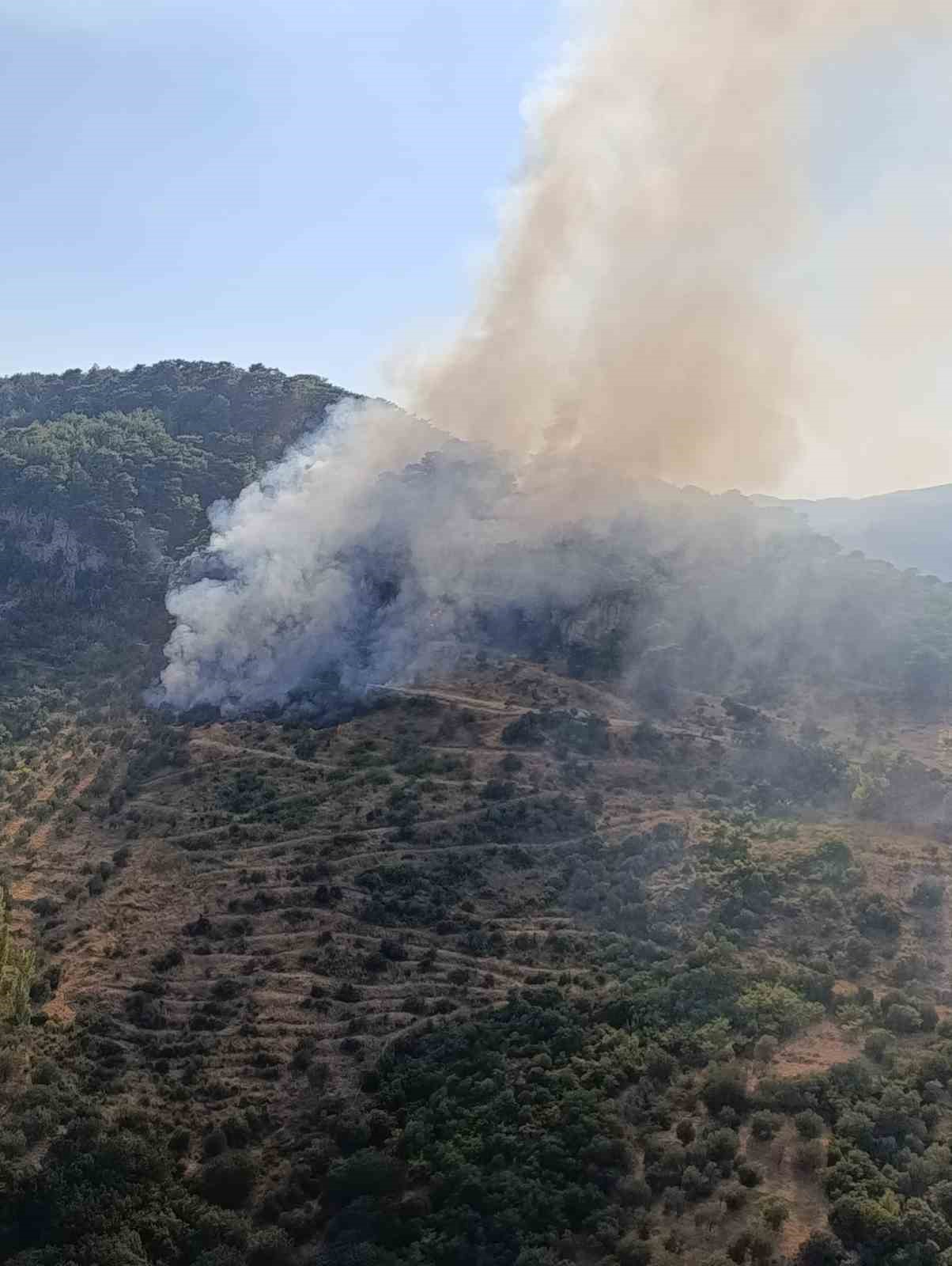 Ayvacık’ta orman yangın
