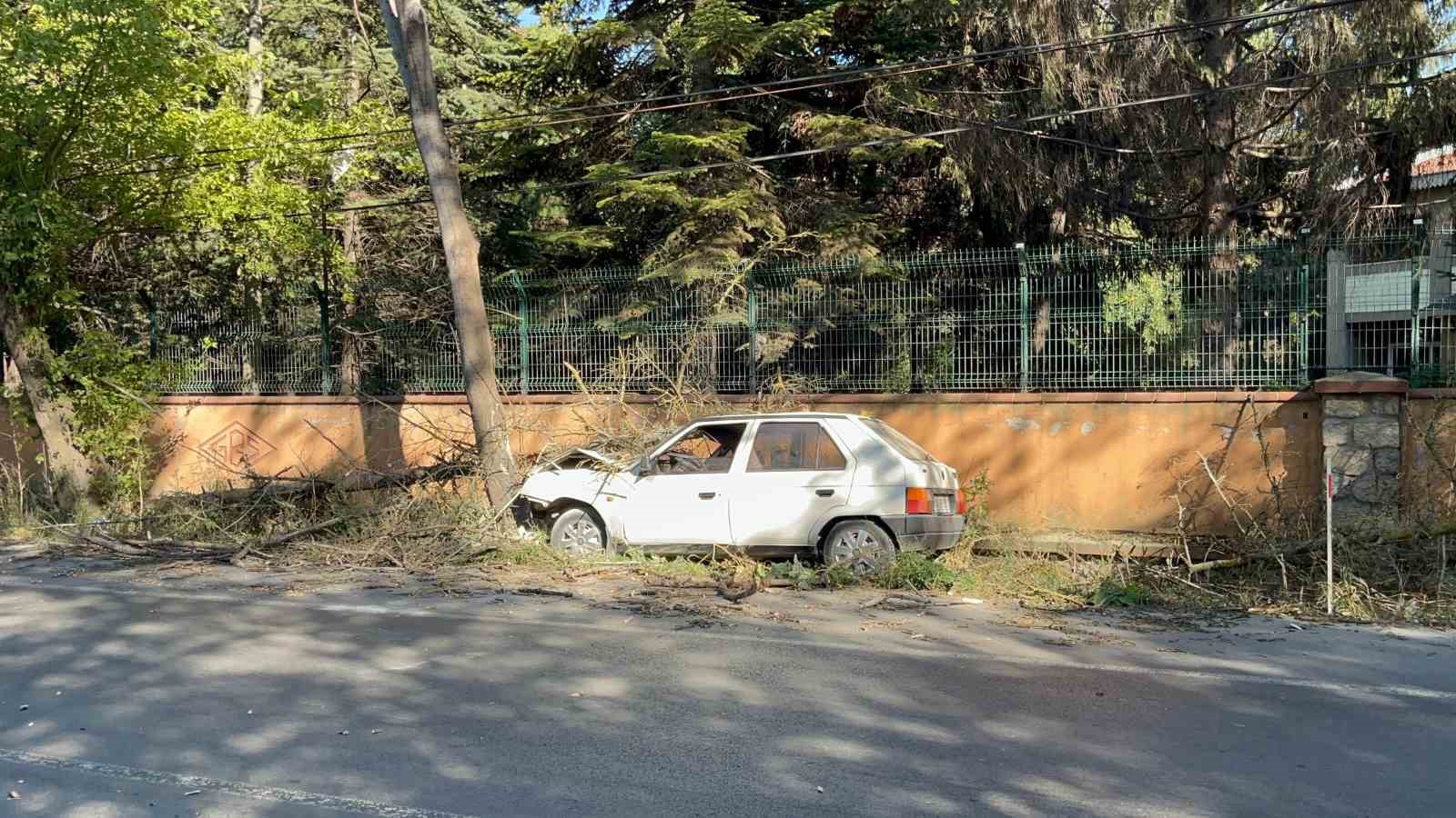 Otomobilin çarptığı ağaç üzerine devrildi, yangın çıktı: 1 yaralı
