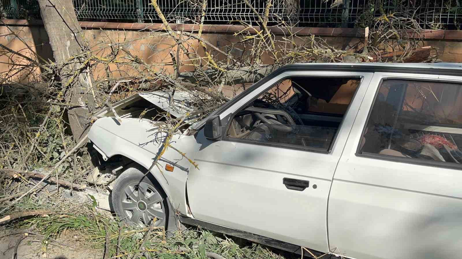 Otomobilin çarptığı ağaç üzerine devrildi, yangın çıktı: 1 yaralı
