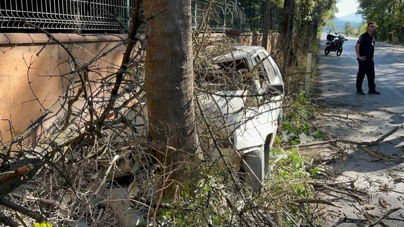 Otomobilin çarptığı ağaç üzerine devrildi, yangın çıktı: 1 yaralı
