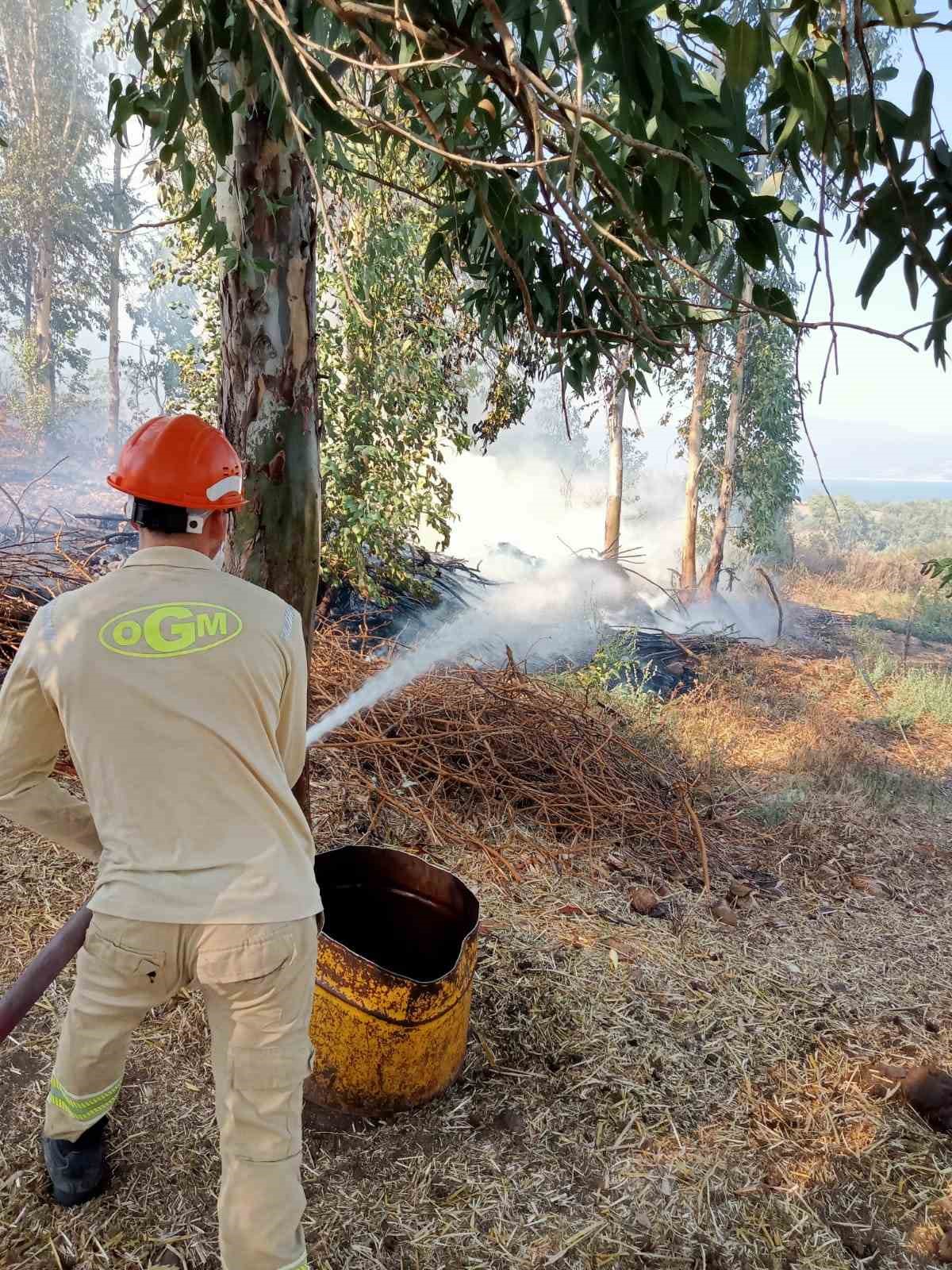 Adana’da ormana sıçrayan anız yangını kontrol altına alındı
