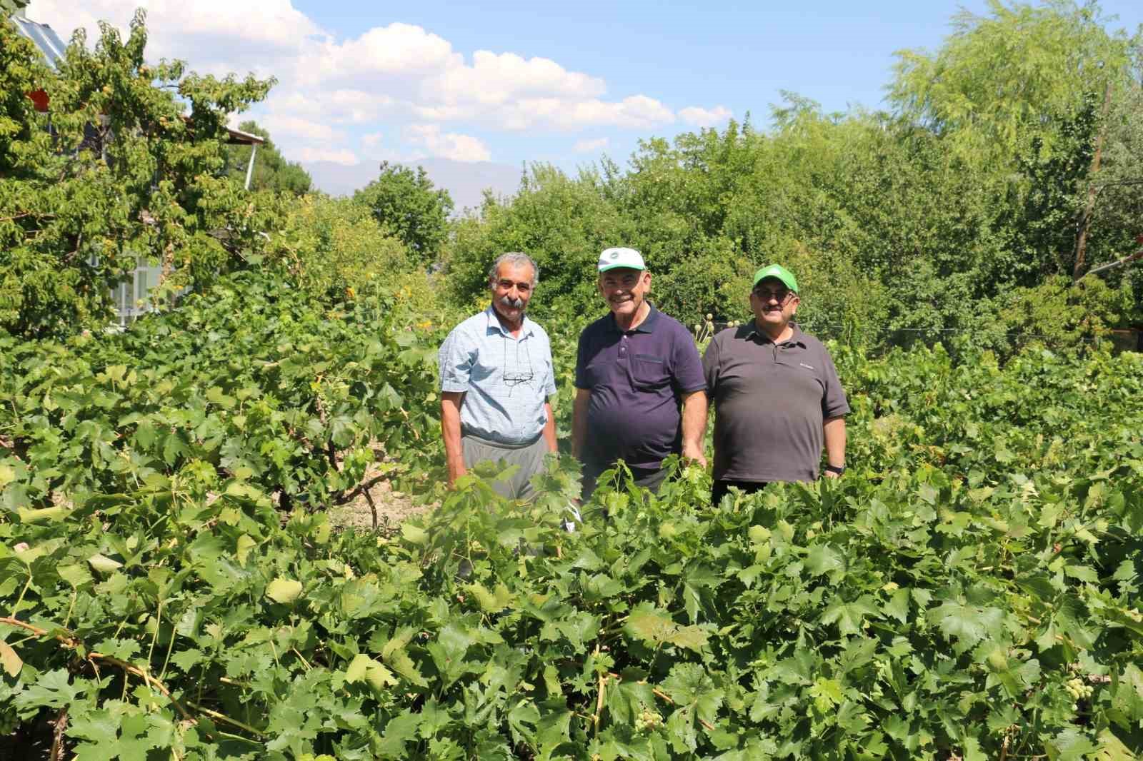 Erzincan tarım sektörü, renkli görüntülere sahne oluyor
