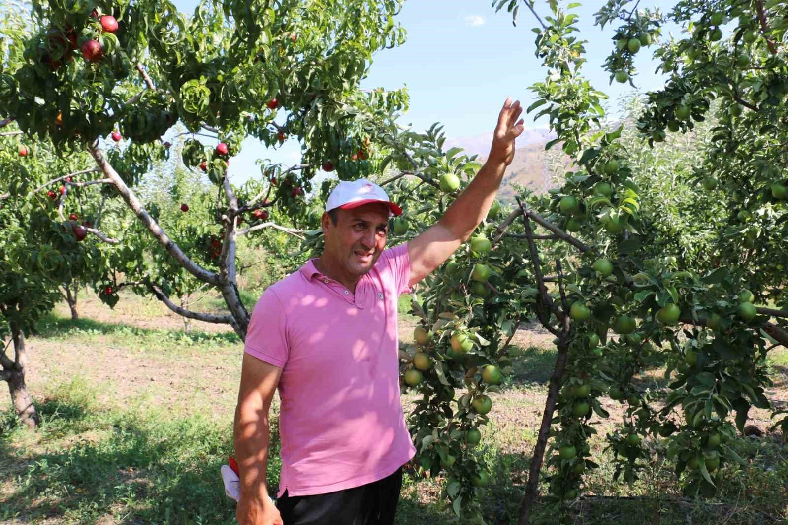 Erzincan tarım sektörü, renkli görüntülere sahne oluyor
