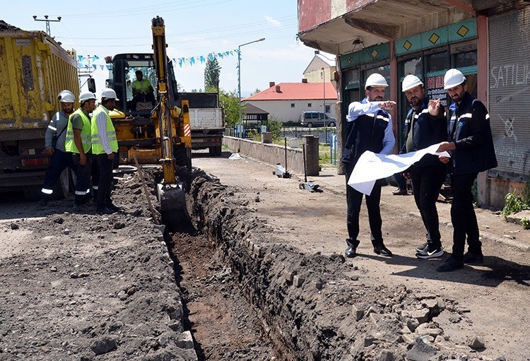 Özel enerji hattı ile göçmen kuşlar güvende
