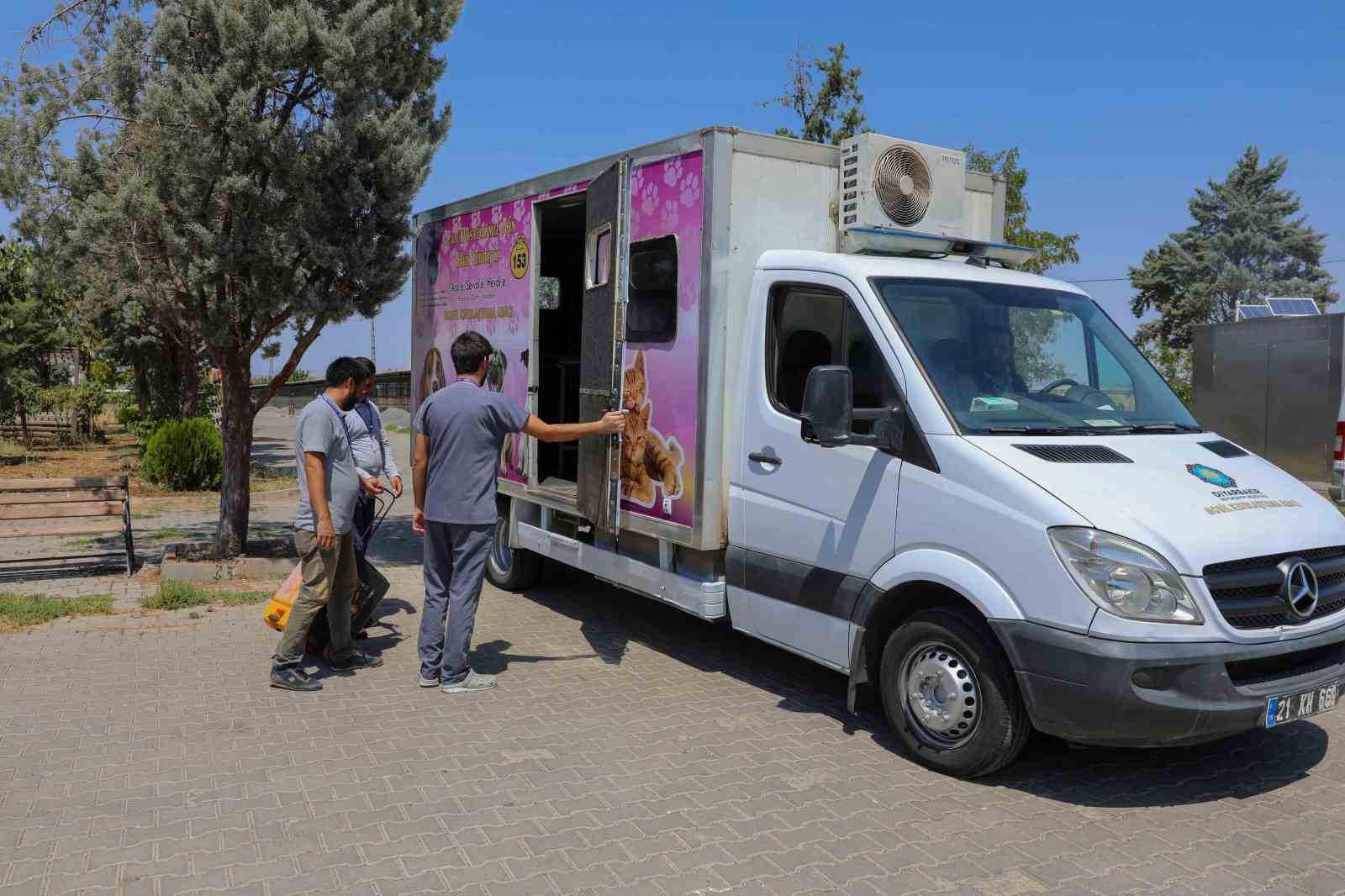 Sokak hayvanları için mobil kısırlaştırma aracı hizmete alındı
