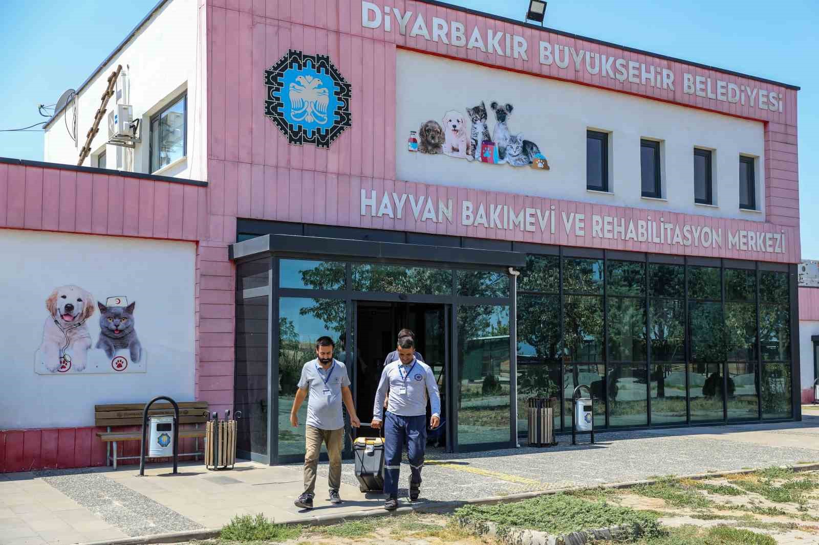 Sokak hayvanları için mobil kısırlaştırma aracı hizmete alındı
