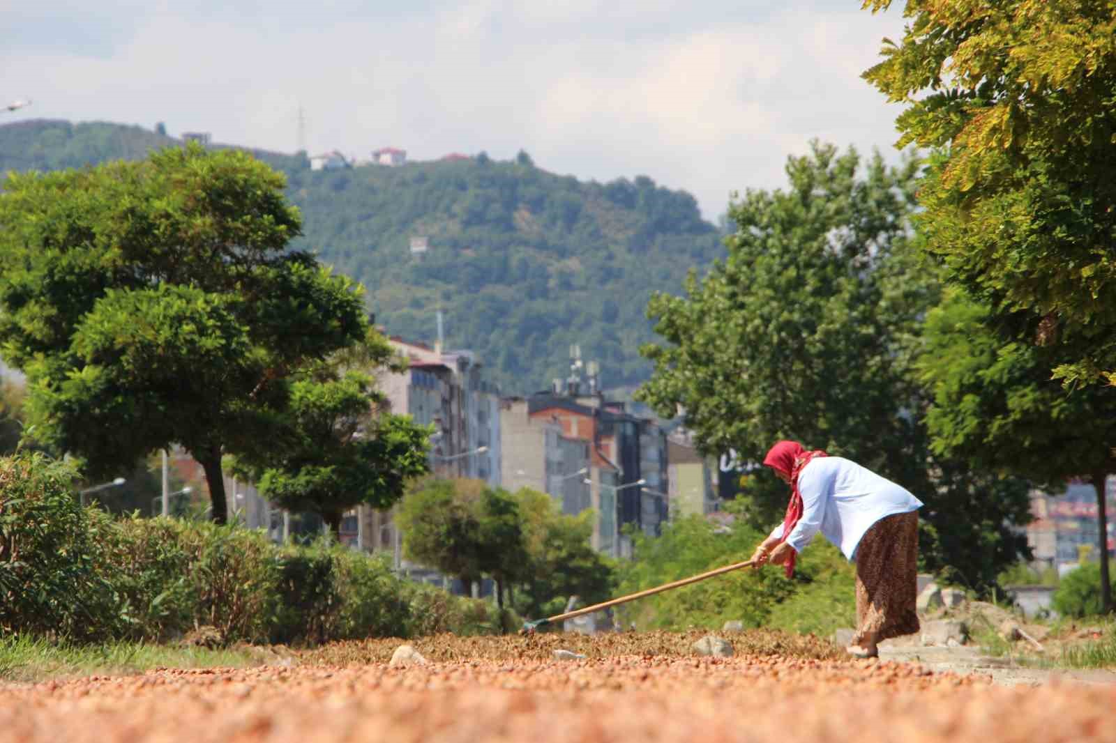 Karadeniz Sahil Yolu fındıkçılar için harman yeri oldu
