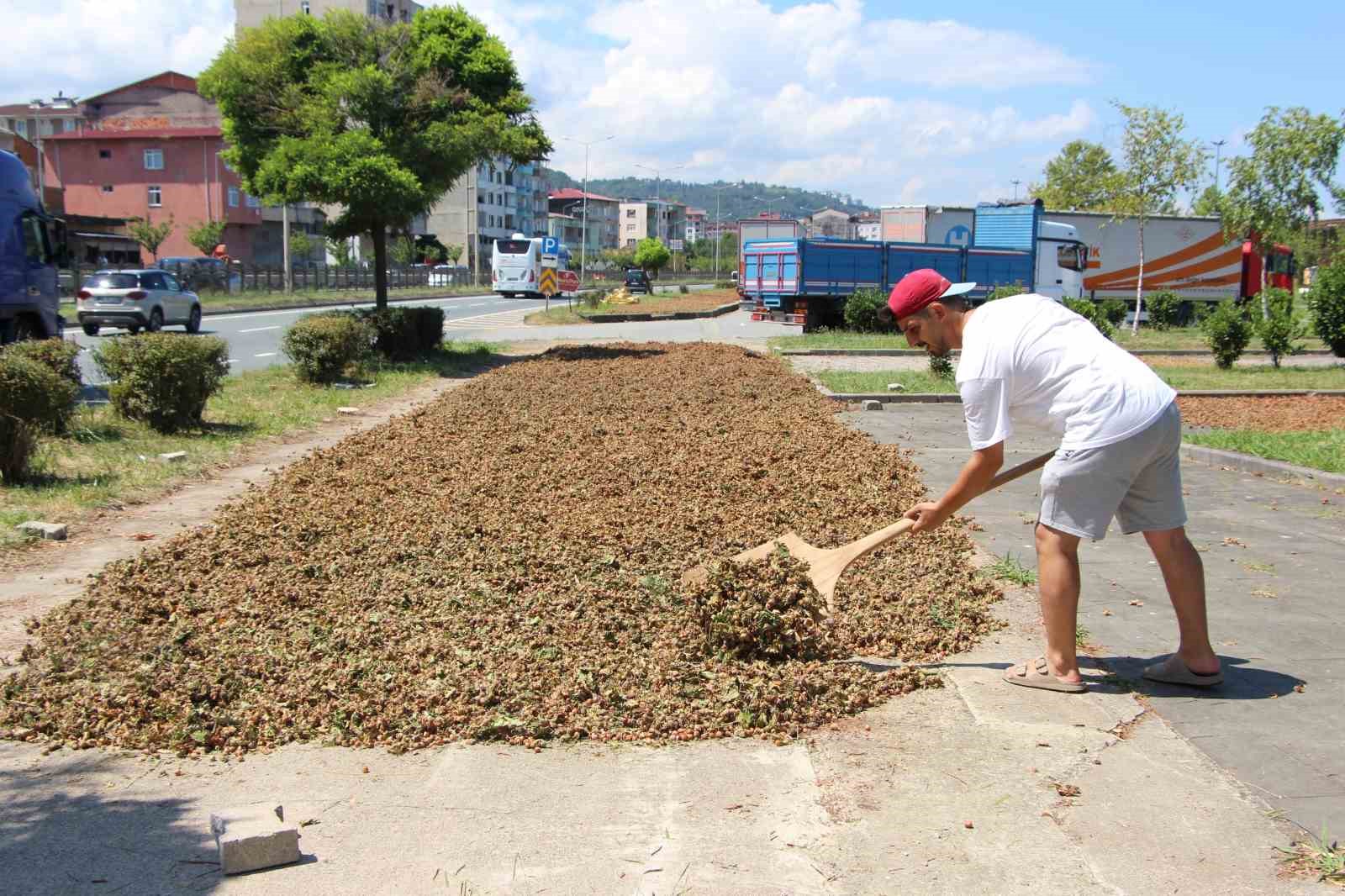 Karadeniz Sahil Yolu fındıkçılar için harman yeri oldu
