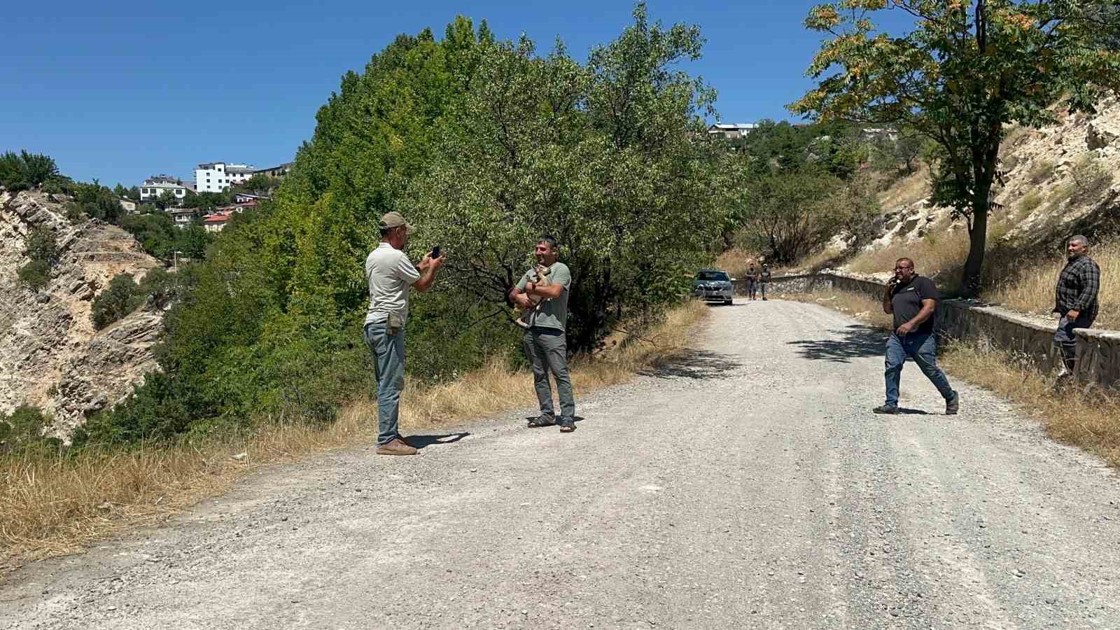 Yolunu kaybeden dağ keçisi, doğal yaşam alanına bırakıldı
