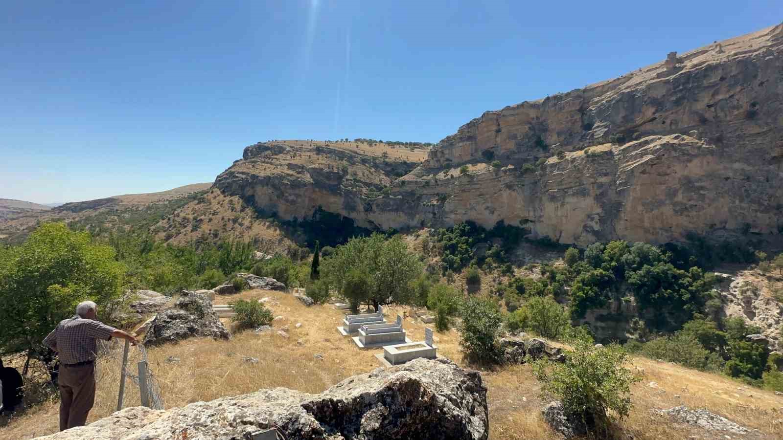 Yolunu kaybeden dağ keçisi, doğal yaşam alanına bırakıldı
