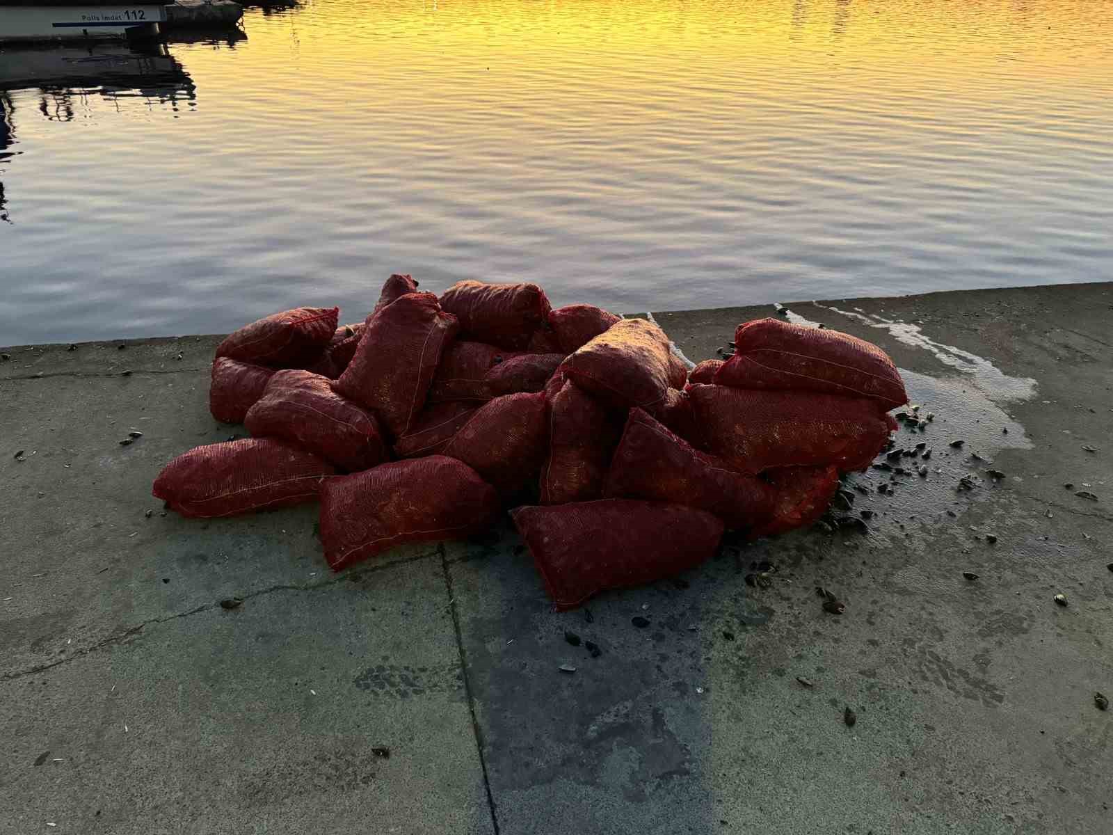 İstanbul Üsküdar’da 1 ton kaçak midye ele geçirildi
