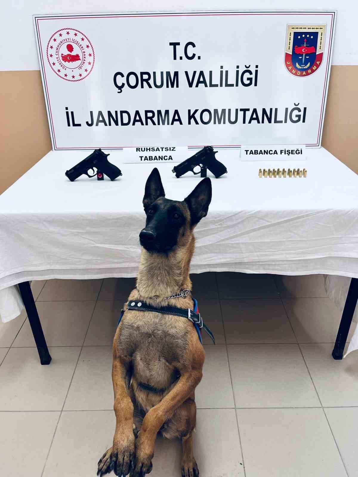 Jandarmanın durdurduğu araçta 2 tabanca ele geçirildi
