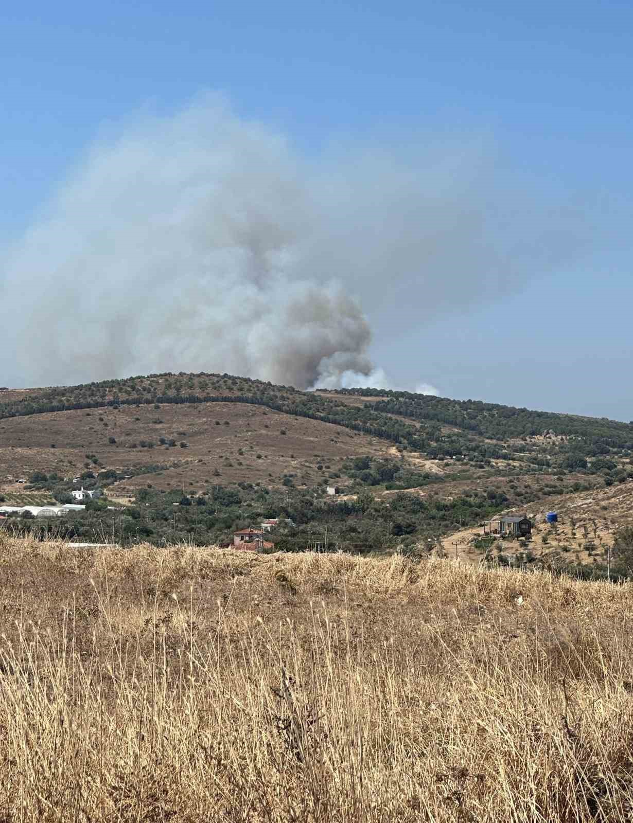 Bozcaada’da ziraat alanında yangın
