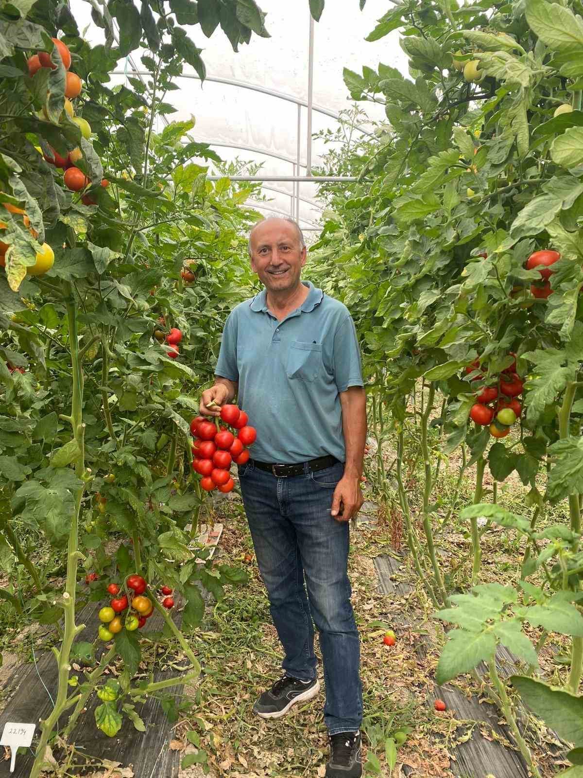 Eskişehir hastalık ve zararlı kontrolleri devam ediyor
