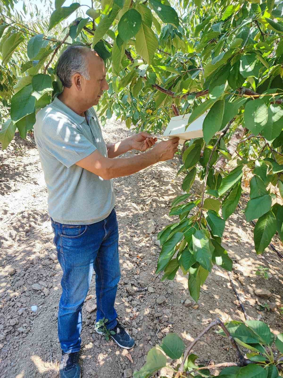 Eskişehir hastalık ve zararlı kontrolleri devam ediyor
