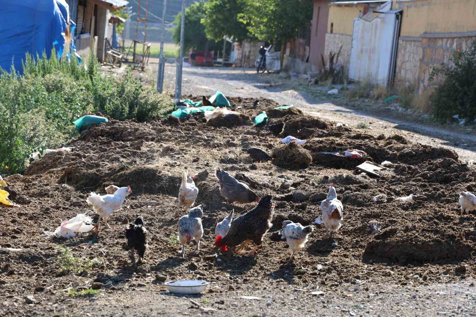 Sivas Belediyesi’ne ’tezek’ tepkisi
