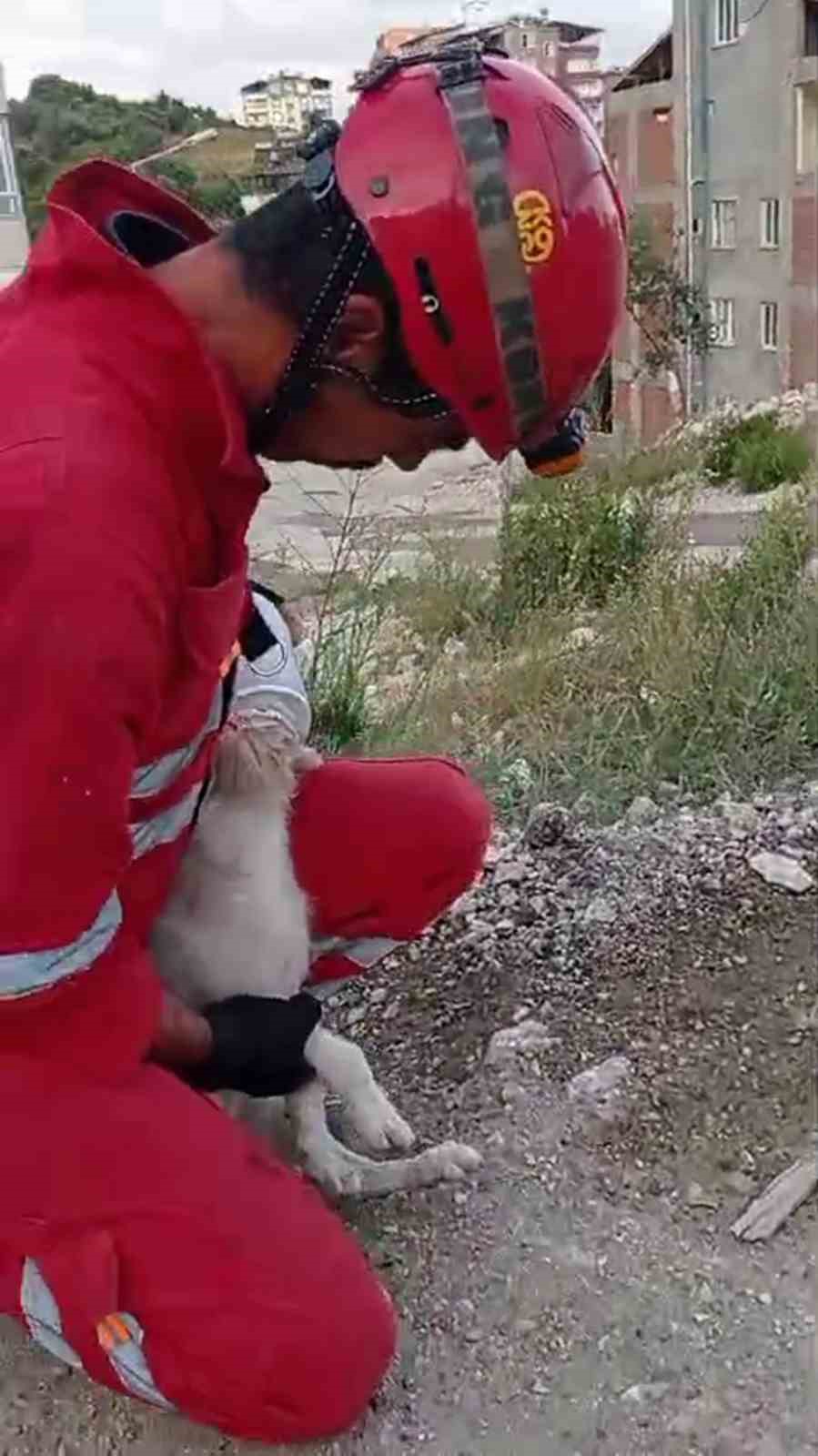 Kafasını bidona sıkıştıran yaramaz köpeğin yardımına itfaiye yetişti
