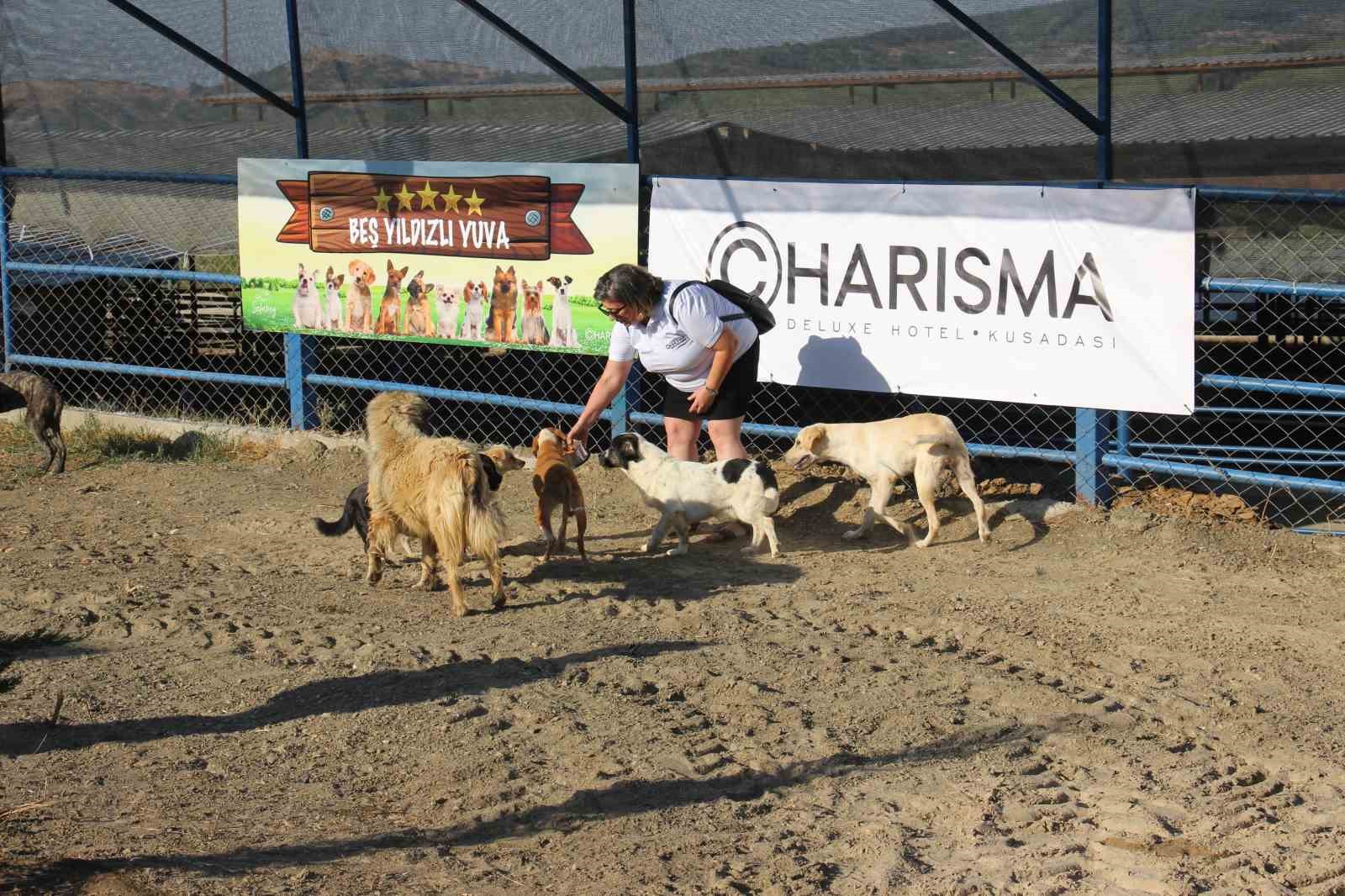 Kuşadası’nda sokak köpekleri için özel barınak
