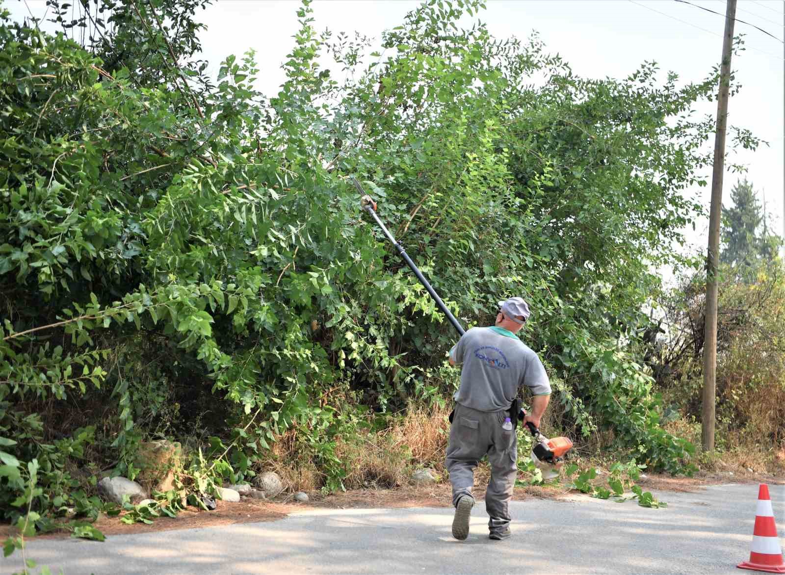 Konyaaltı’nda tehlike oluşturan ağaçlar budanıyor
