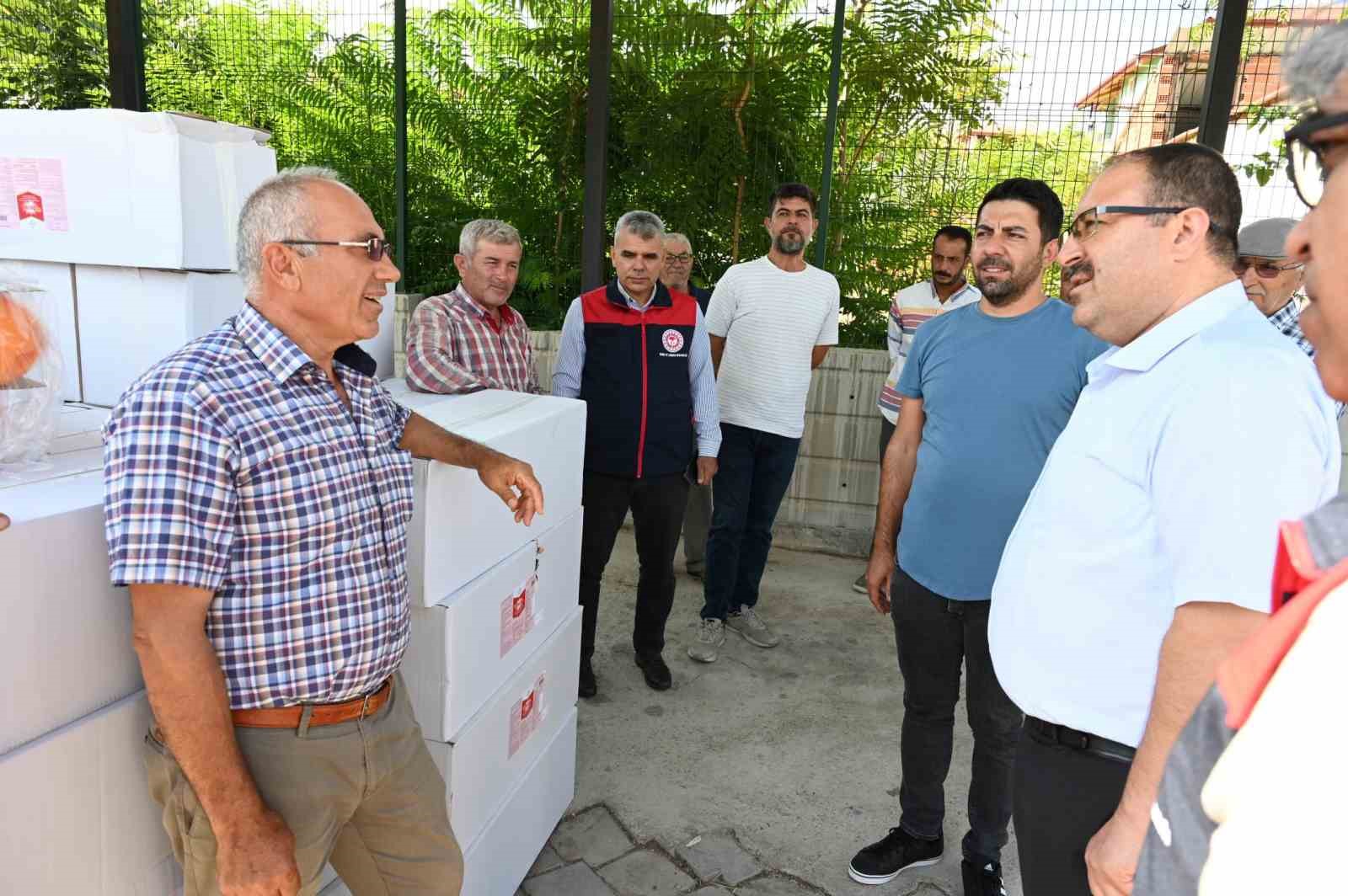 Denizli’de Akdeniz meyve sineği zararlısına karşı çiftçilere tuzak dağıtıldı
