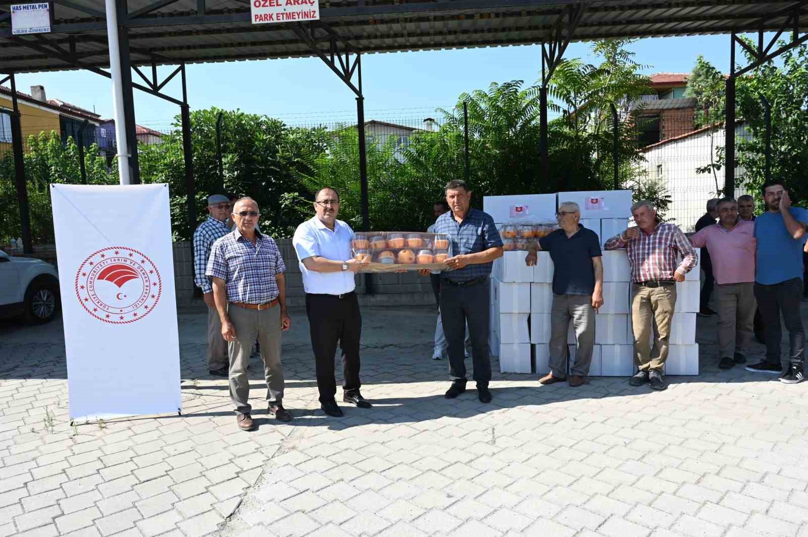 Denizli’de Akdeniz meyve sineği zararlısına karşı çiftçilere tuzak dağıtıldı
