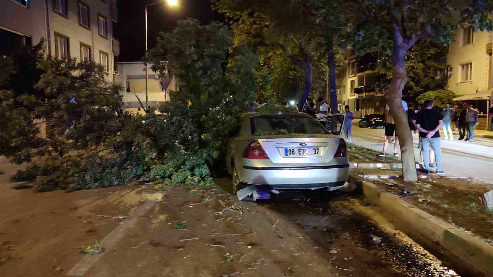 Direksiyon hakimiyetini kaybetti, ağaca çarptı: 4 yaralı
