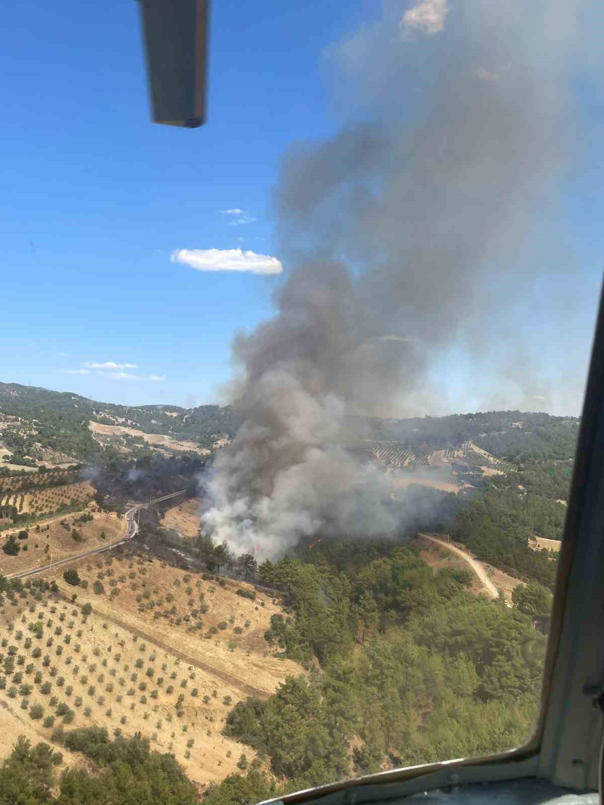 Manisa’da bir orman yangını daha
