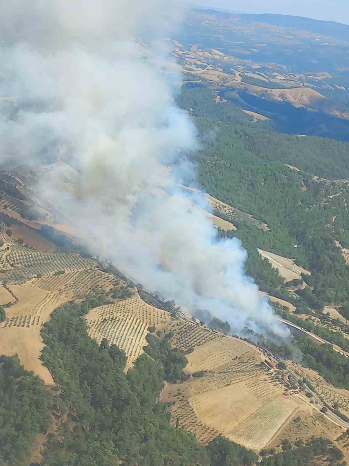 Manisa’da bir orman yangını daha
